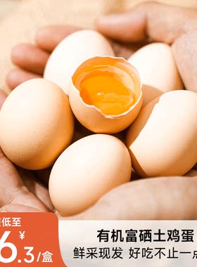 拾味爸爸有机无抗土鸡蛋正宗农家散养新鲜富硒含叶黄素放心蛋礼盒