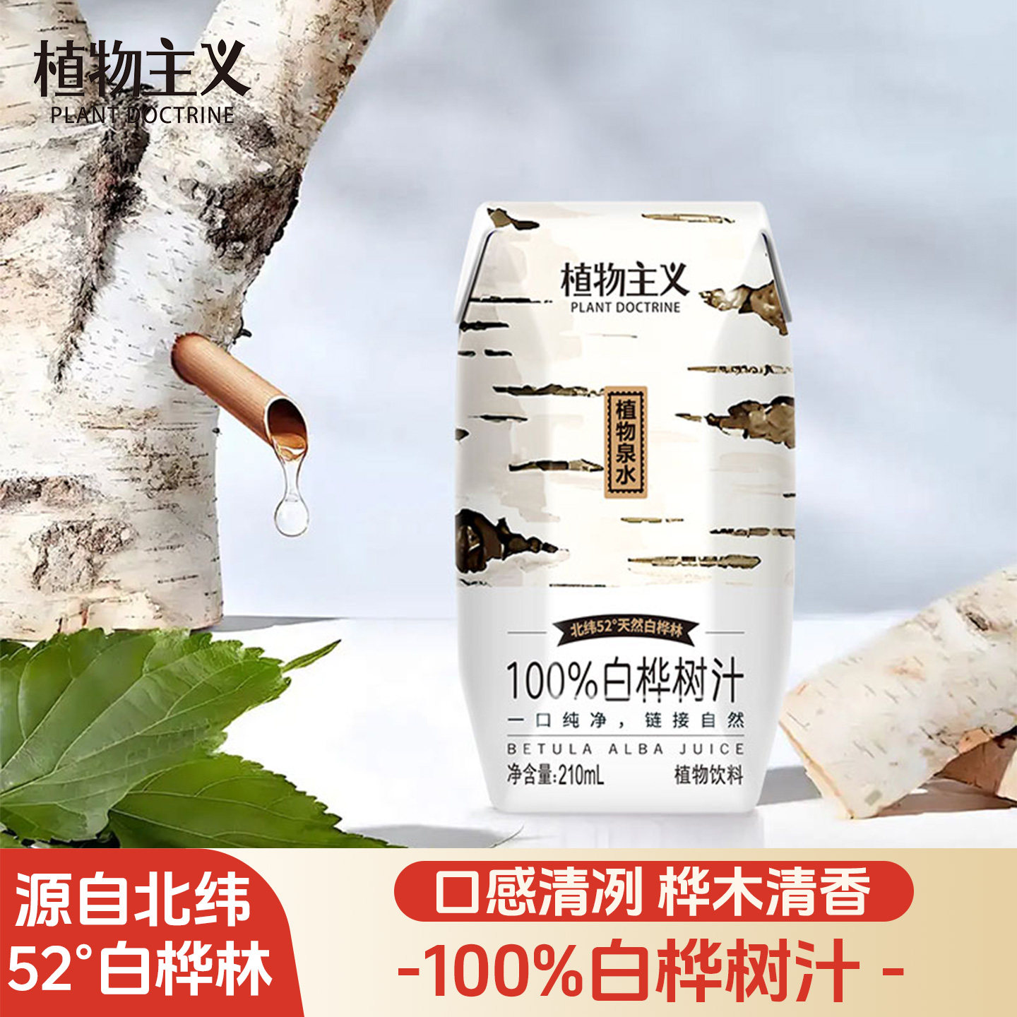 【植物主义】100%白桦树汁植物饮料白桦树汁整箱旗舰店210ml*12瓶,咖啡/麦片/冲饮,果味/风味/果汁饮料,淘宝优惠券,粉丝福利购,淘宝优惠卷