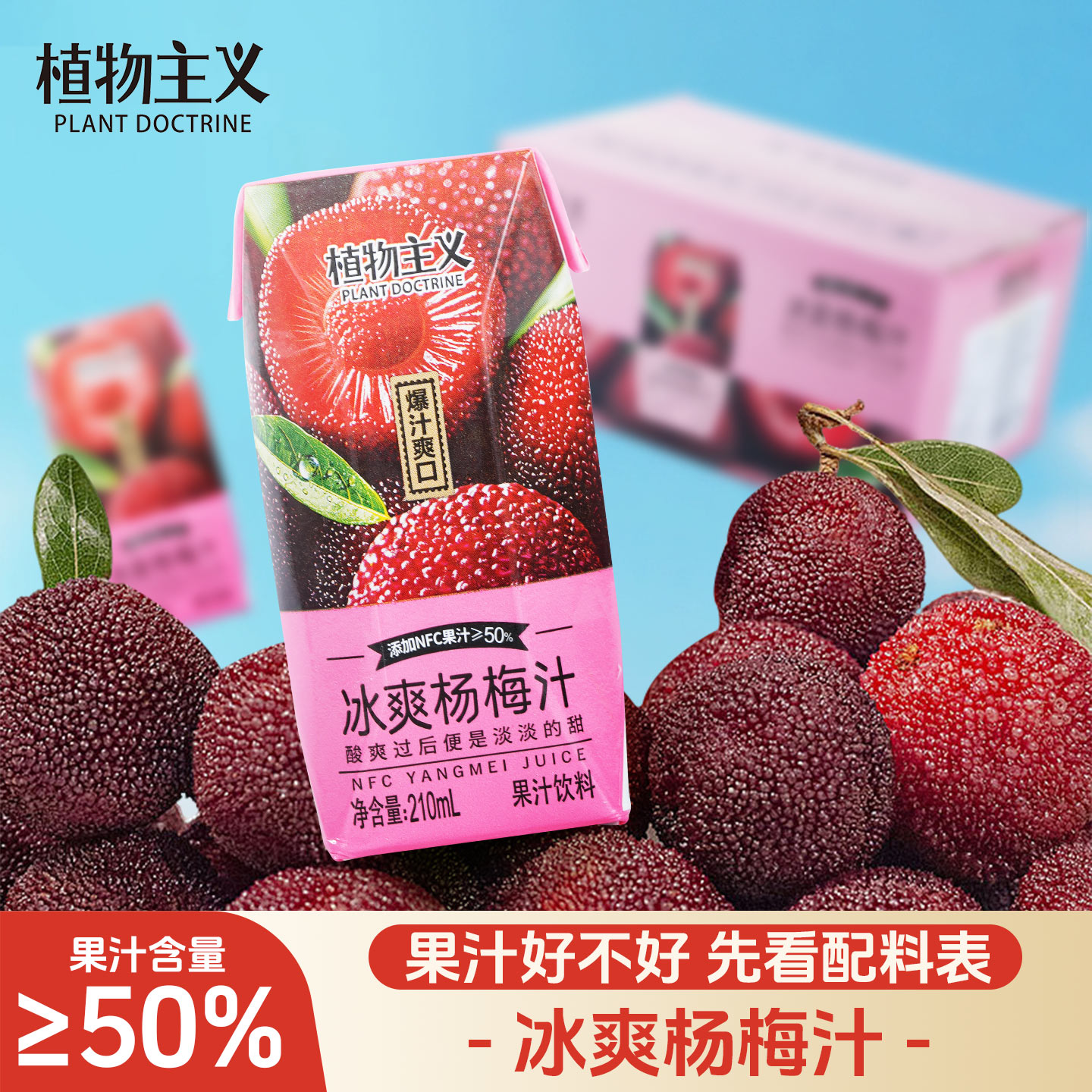 植物主义爽口杨梅汁果汁饮料杨梅汁含NFC果汁夏日饮品210ml*12瓶