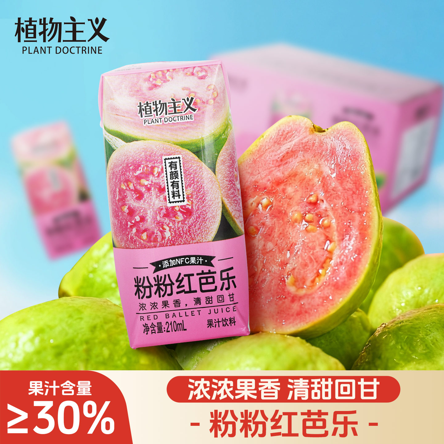 植物主义红芭乐果汁红心番石榴汁饮料含NFC果汁芭乐汁210ml*12瓶