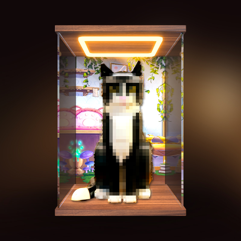 适用积木21349 燕尾服猫亚克力展示盒透明防尘罩防尘盒手办收纳盒