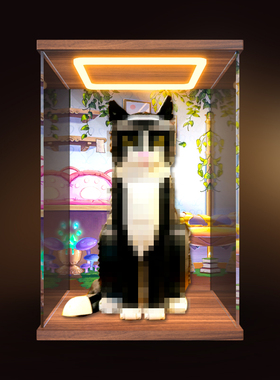 适用积木21349 燕尾服猫亚克力展示盒透明防尘罩防尘盒手办收纳盒