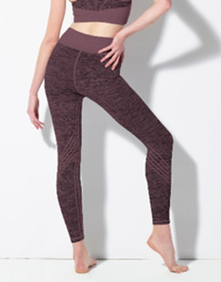 Danielle Striped Legging  牛油果瑜伽服 条纹修身长裤1933