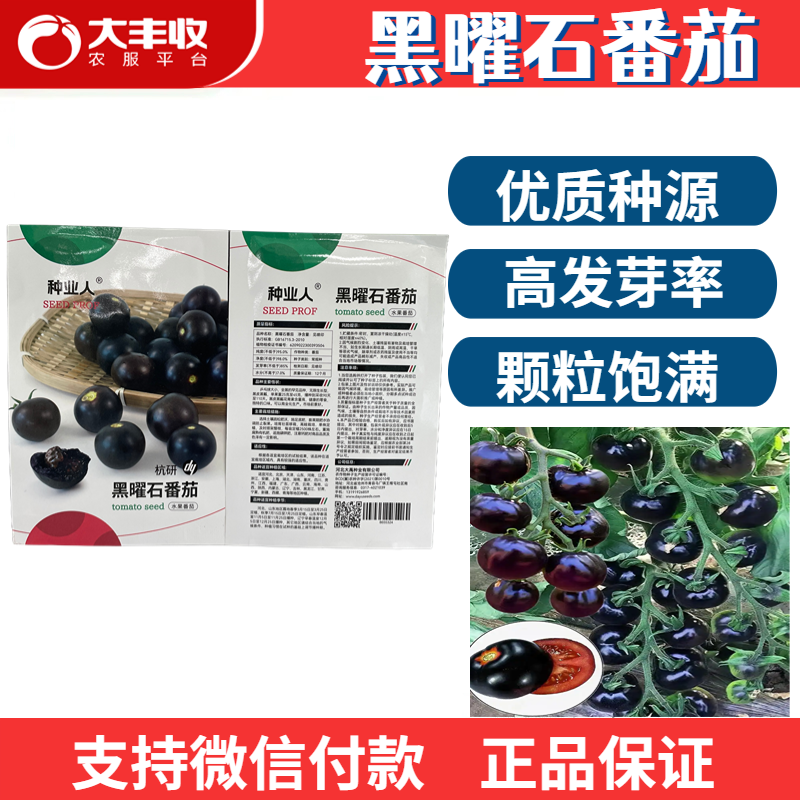 黑曜石番茄种子优质种源高发芽率颗粒饱满蔬菜种子,农用物资,蔬菜种子/种苗,淘宝优惠券,粉丝福利购,淘宝优惠卷