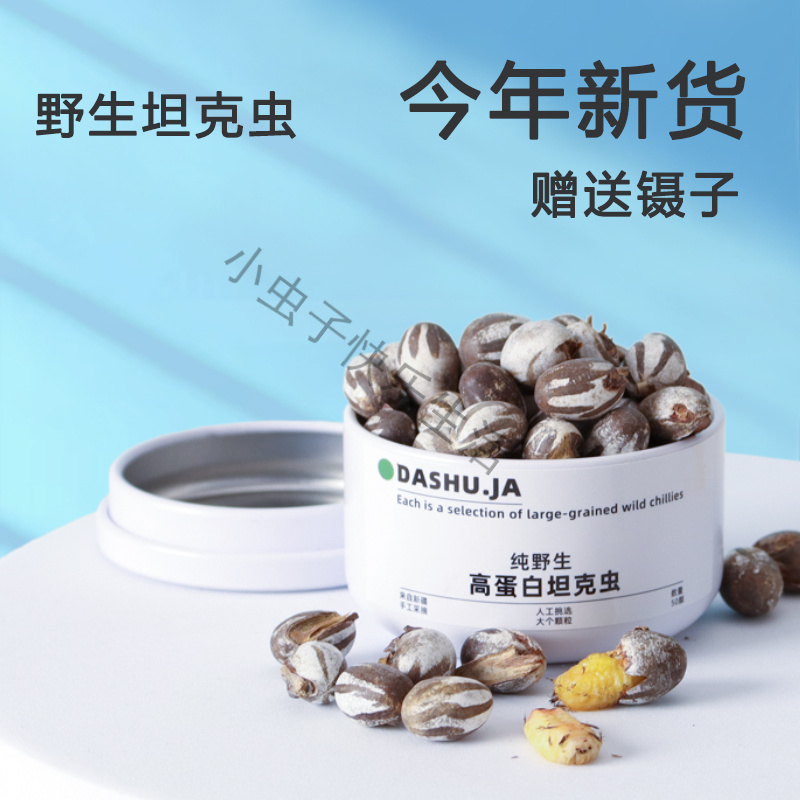 蜜袋鼯仓鼠粮食零食坦克虫洋辣子花枝鼠活虫金丝熊杨拉罐食用钓鱼