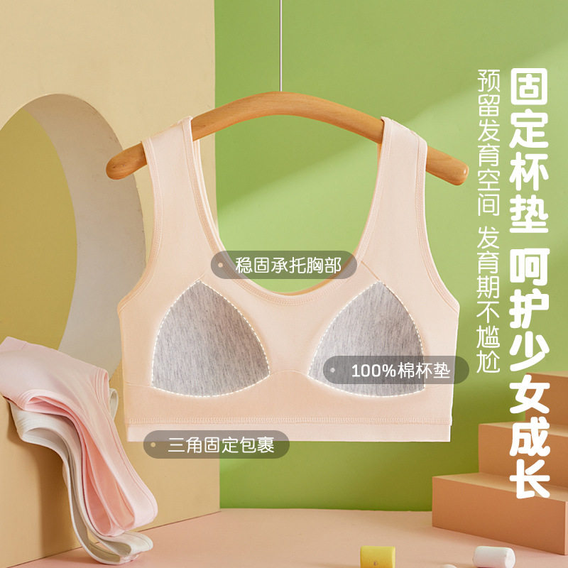莫代尔固定杯发育期少女