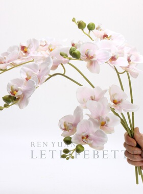 仿真花手感保湿小蝴蝶兰