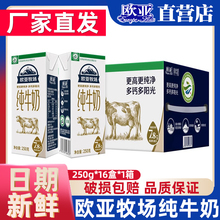 牛奶礼盒装送礼欧亚高原牧场纯牛奶250g*16盒/箱早餐奶官方正品
