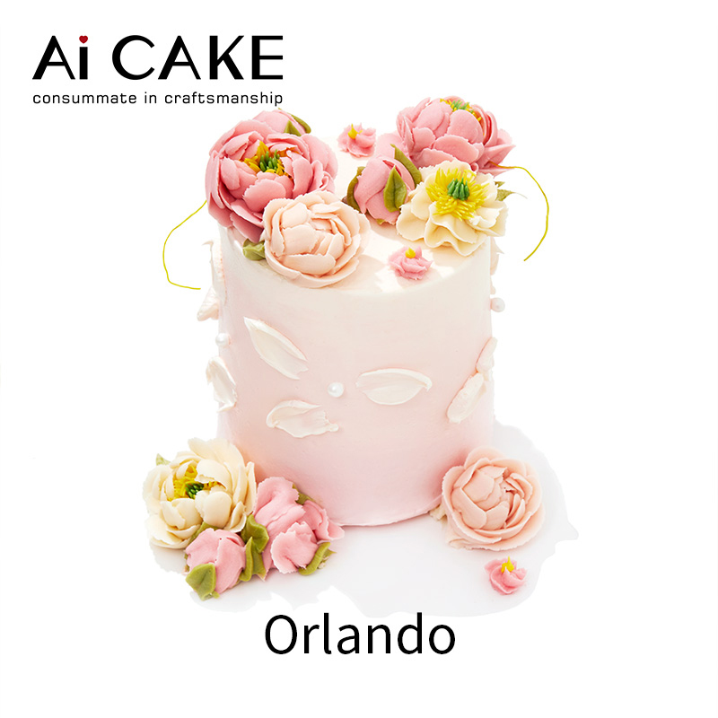 aicake奥兰多创意生日蛋糕苏州