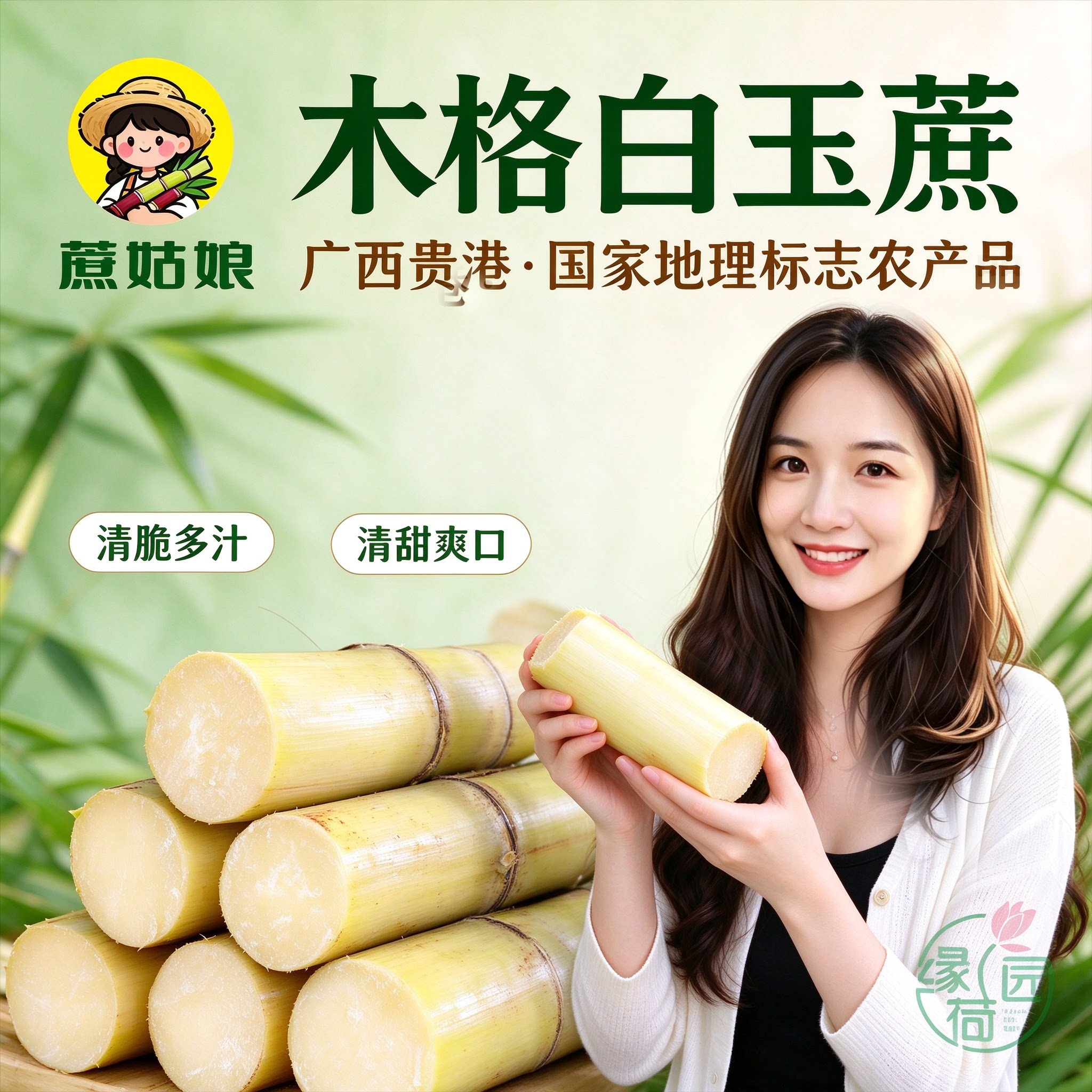 广西贵港蔗姑娘木格白玉甘蔗脆甜爽口清甜多汁产地直供顺丰包邮