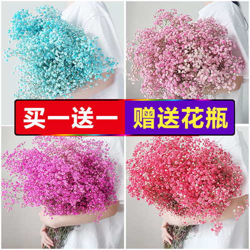 满天星干花花束真花风干天然散装