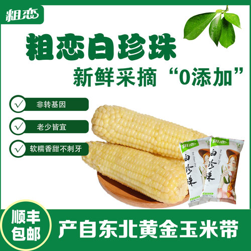 糯玉米糯玉米年香玉白珍珠
