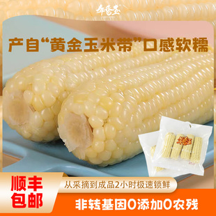 年香玉白糯玉米新款小包装8根一箱东北速冻无添加可代餐/软糯香甜
