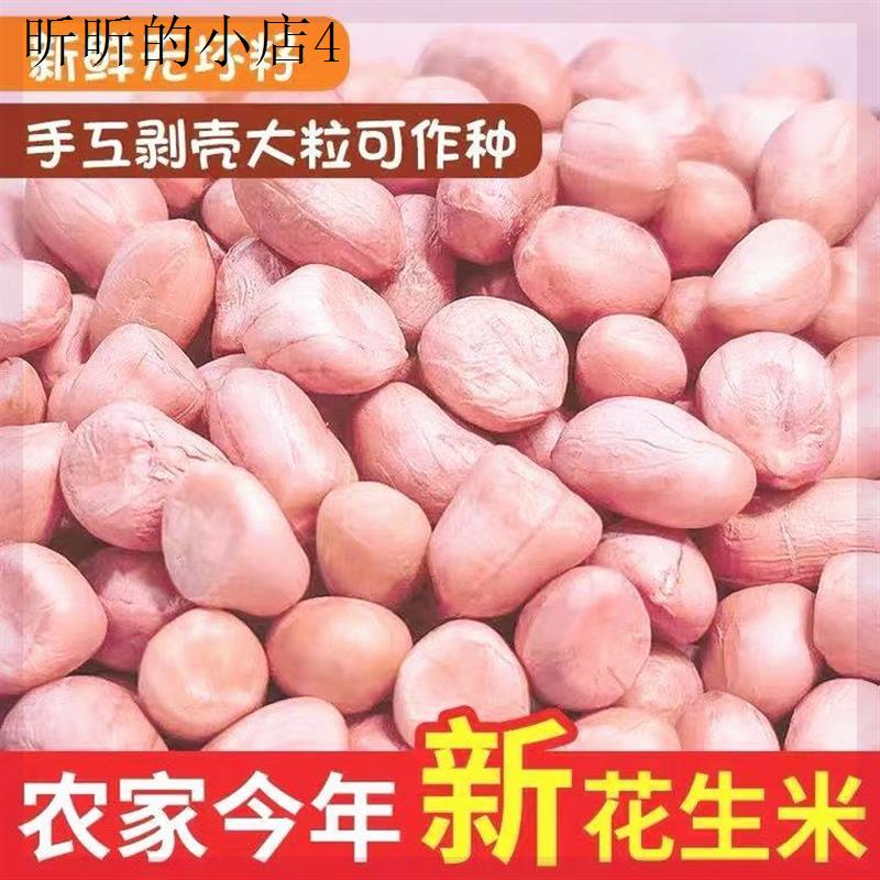 现剥新花生米生新货特级粉皮大粒花生米不带壳
