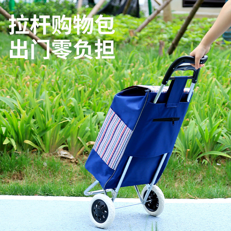 购物车两轮便携小推车老