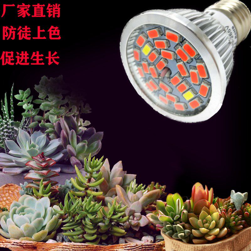 室内植物光合作用灯素材模板 室内植物光合作用灯图片下载 小麦优选
