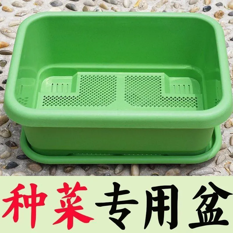 种菜专用箱泡沫阳台种菜盆