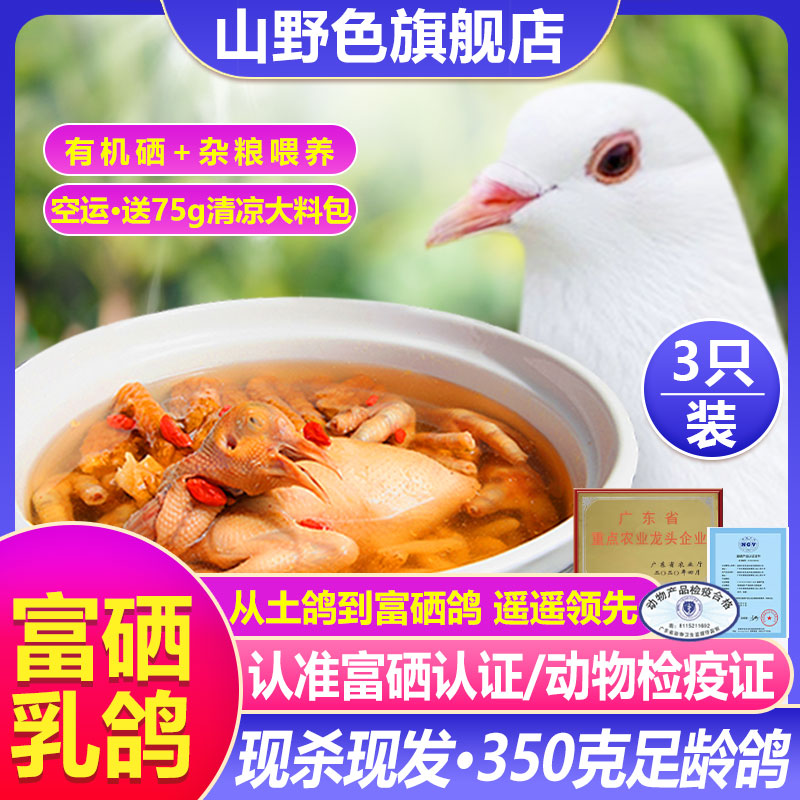 空运新鲜富硒鸽子3只烤乳鸽农家散养鸽子活现杀鸽子肉老生鲜-封面