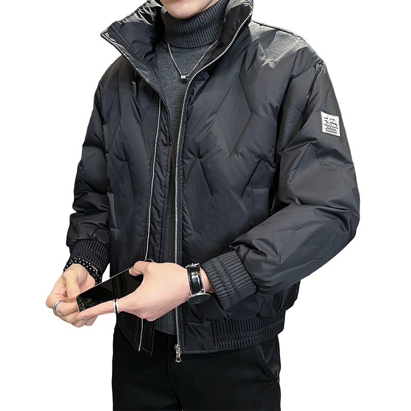 B255-F1813-P185店主风简约百搭商务高品质立领羽绒服外套男,男装羽绒服,电商B255