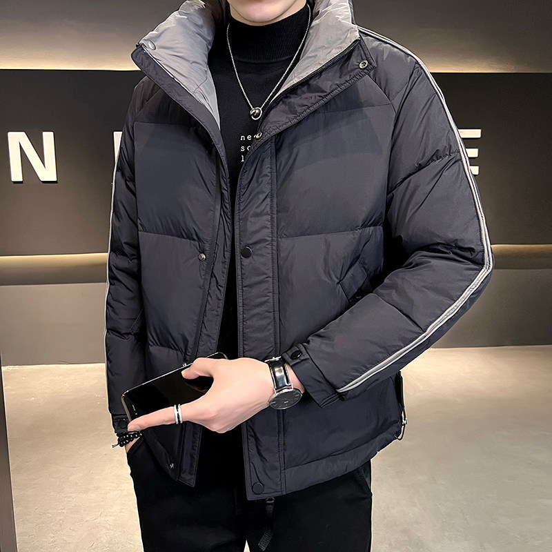 B255-6637-P185 标50绒 控258 （月底到货）店主风简约羽绒服男图片