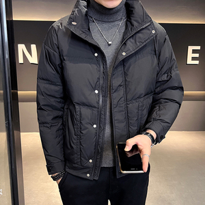 B255-001-P175-控248  80白鸭绒 店主风新款男士简约羽绒服男图片