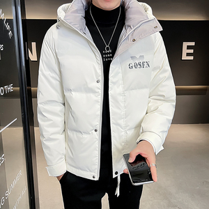 B255-8852-P175 2022冬季新款店主风连帽羽绒服休闲高品质外套男图片