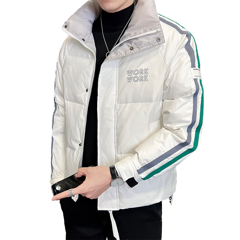 B255-8851-P1752022冬季新立领简约百搭帅气高品质羽绒服外套男,男装羽绒服,电商B255