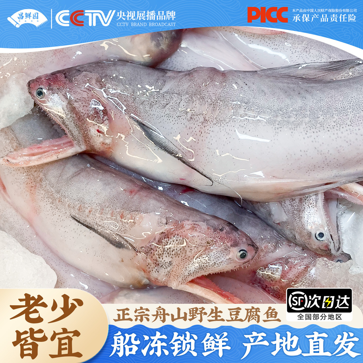 舟山龙头鱼新鲜野生豆腐鱼鲜活九肚鱼冷冻丝丁鱼水潺海鲜水产顺丰