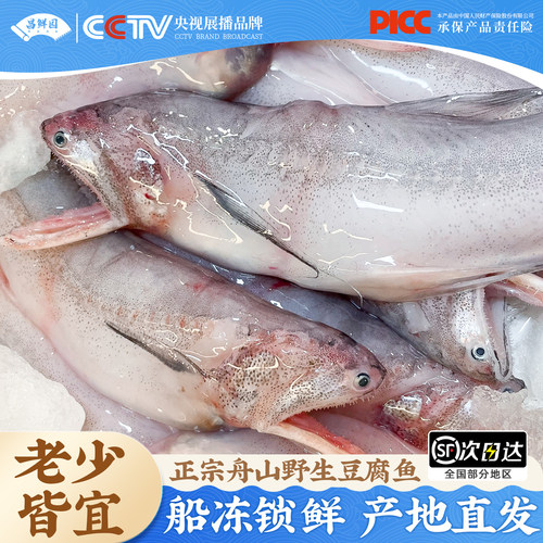 舟山新鲜龙头鱼豆腐鱼【2500g】