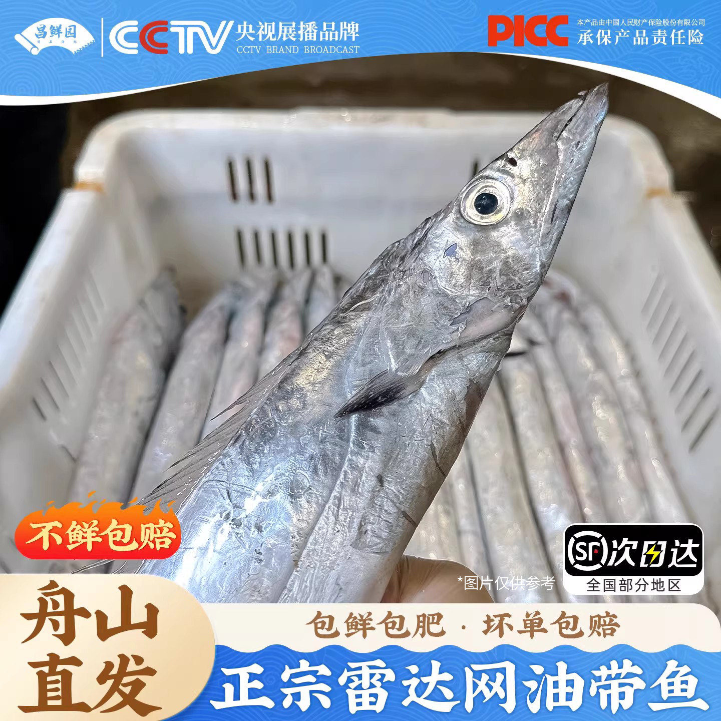 舟山带鱼整条雷达网小眼睛油带新鲜鲜活冷冻海鲜东海水产非刀鱼