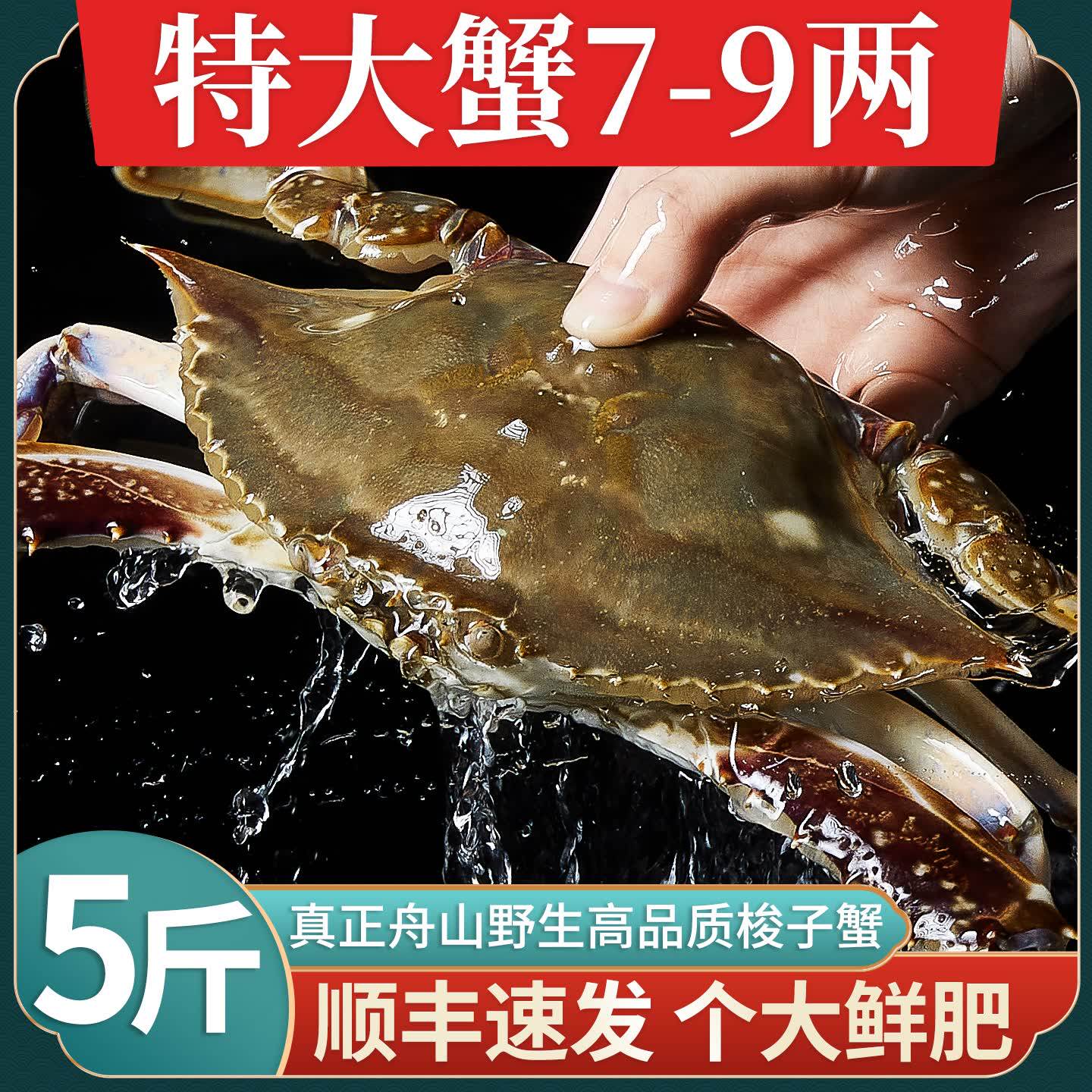 梭子蟹新鲜冷冻特大舟山野生螃蟹海鲜飞蟹7-9两白蟹5斤顺丰冻蟹