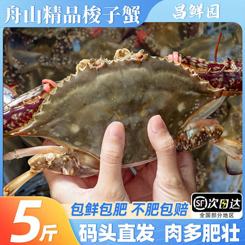 【顺丰到家】9两特大梭子蟹5斤装