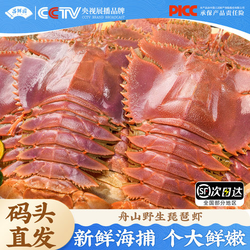 昌鲜园琵琶虾顺4斤装丰包邮到家