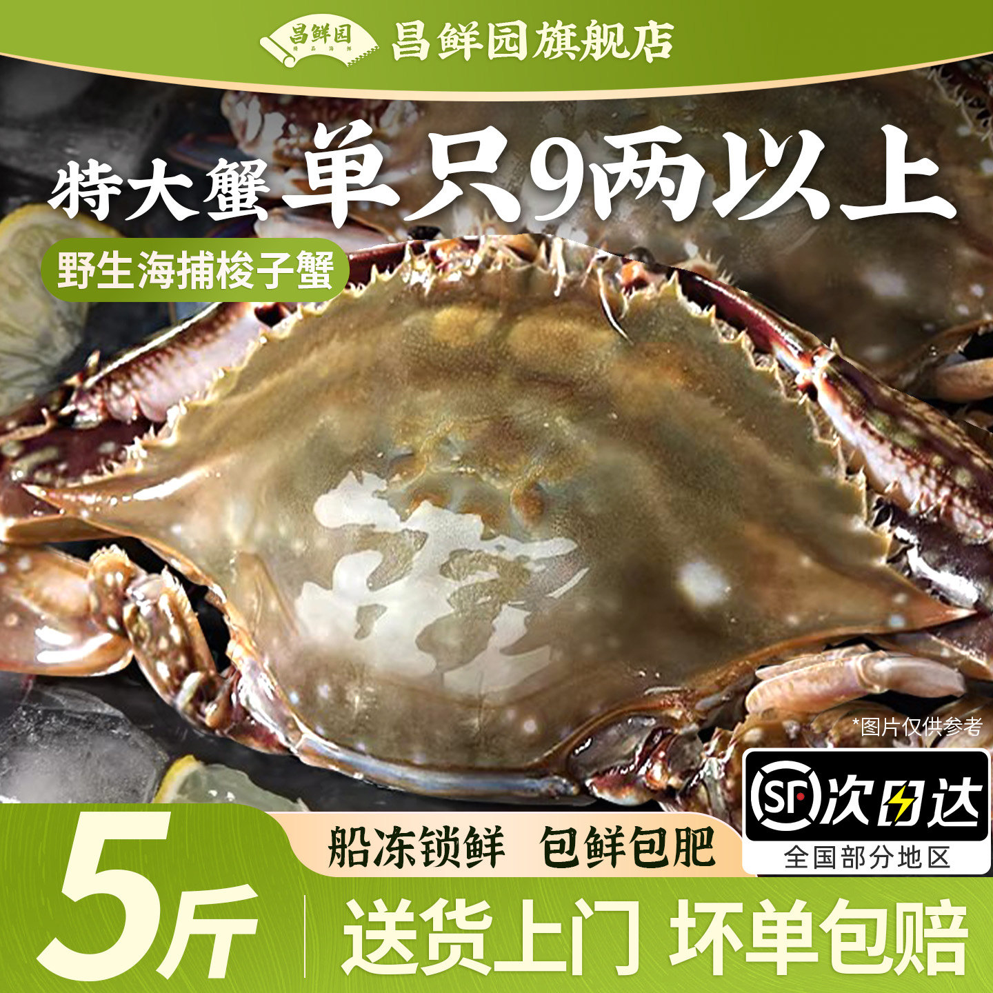 舟山梭子蟹特大野生净重5斤新鲜冷冻大螃蟹公蟹海鲜水产冻蟹
