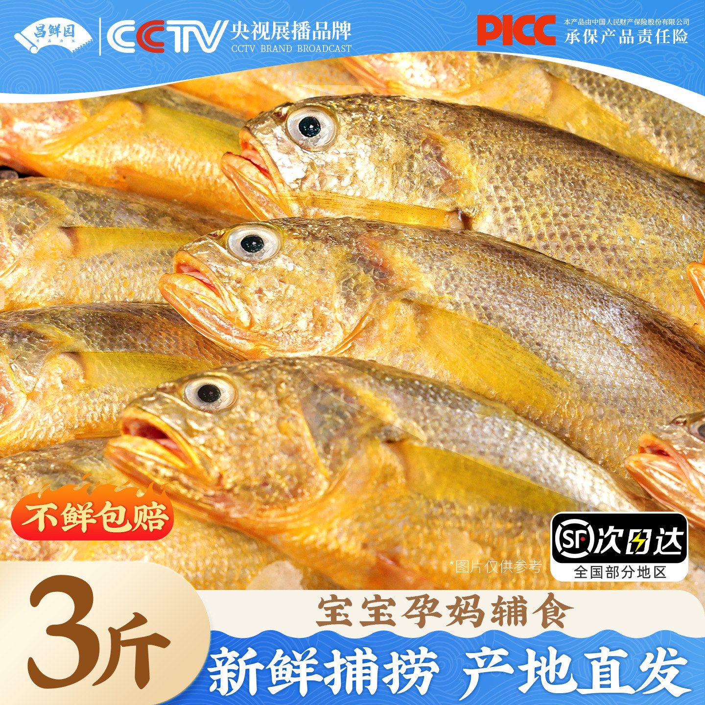 舟山野生小黄鱼新鲜冷冻深海海捕海鲜水产小黄花鱼生鲜商用烧烤