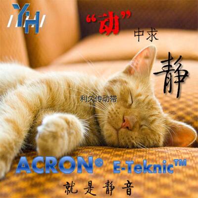 木工推台锯皮带 进口 PK750 PK825 PK840 PK900 包邮