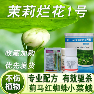 茉莉花打虫药蓟马红蜘蛛飞虱花蓟马黑蓟马杀虫剂烂花1号套餐正品