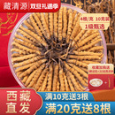 藏清源冬虫夏草官方旗舰店正品 克10克头期虫草礼盒50克 干货4根