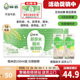 秧养儿童稻米奶胚芽米糙米奶植物奶素食敏宝爱喝 10盒 250ml