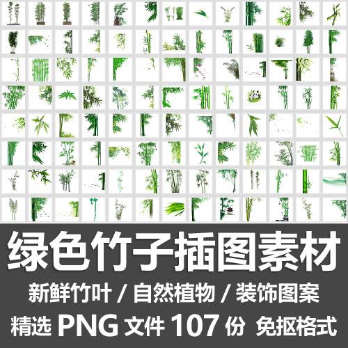 绿色竹子插图素材/新鲜竹叶茂盛青竹自然植物装饰图案png免抠素材
