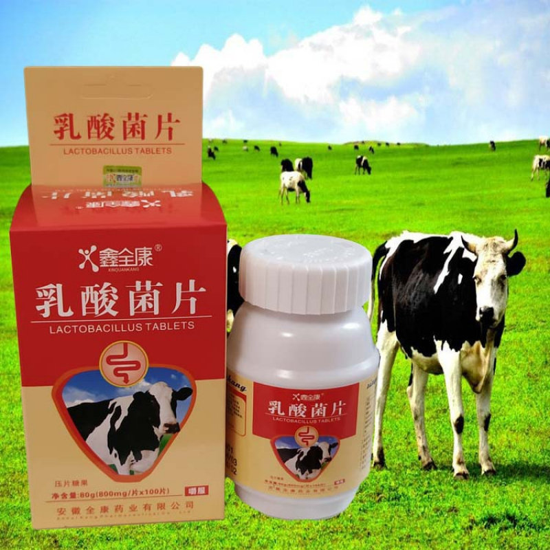 鑫全康乳酸菌咀嚼片儿童青少年中老年压片糖 一手货源 全康药业