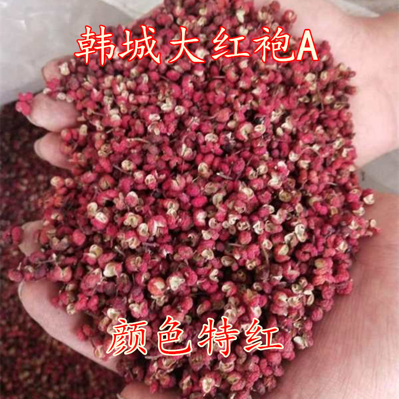 武都花椒汉源大红袍花椒四川茂纹