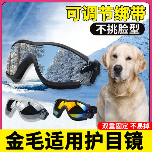 金毛专用狗狗护目镜宠物配饰小狗墨镜防风眼镜大型犬太阳镜防风镜