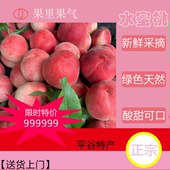 正宗水蜜桃新鲜现摘现发