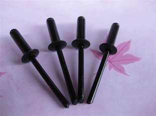 喜仕隆厂家直供 全白烤漆拉钉 黑色拉钉 全黑抽芯铆钉
