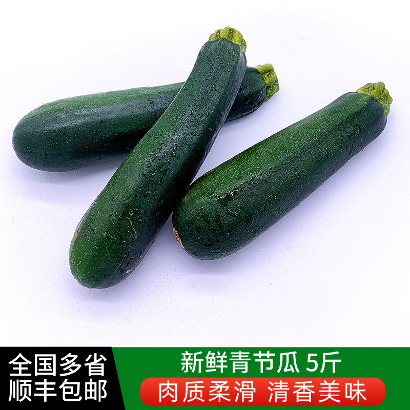 青节瓜5斤 新鲜蔬菜青西葫芦绿茄瓜炒菜凉拌 全国多省顺丰包邮