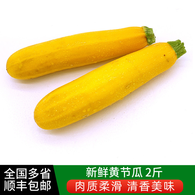 绿食者 新鲜黄节瓜2斤 黄西葫芦茄瓜毛瓜热炒凉拌 包邮