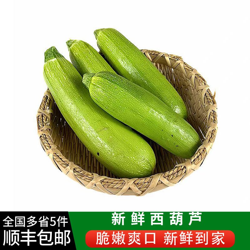 新鲜西葫芦约400g 番瓜当季蔬菜脆嫩小茭瓜倭瓜 全国多省5件包邮