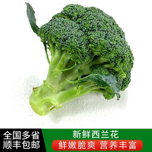 新鲜西兰花 脆嫩青花菜绿花菜西蓝花椰菜 时令蔬菜 多省顺丰包邮