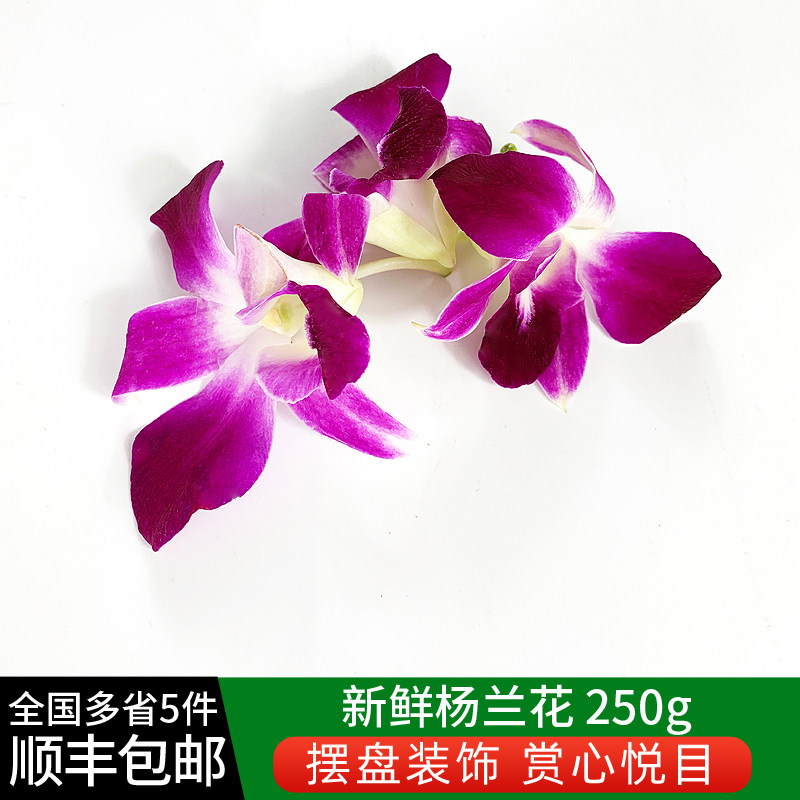 新鲜洋兰花250g杨兰花马兰花火锅酒店饭店西餐点缀摆盘装饰鲜花朵
